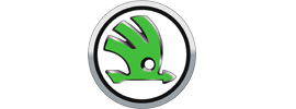раскоксовка поршней Skoda